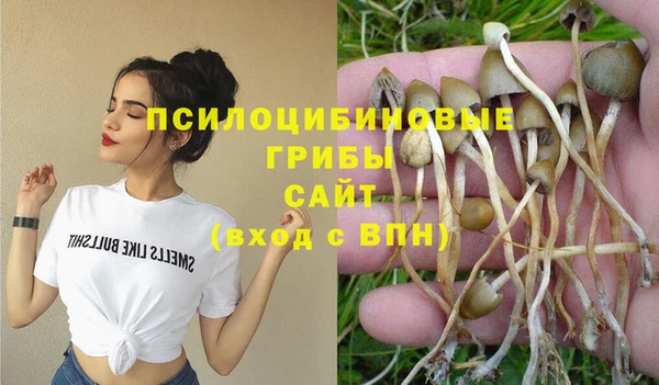 прущие грибы Аркадак