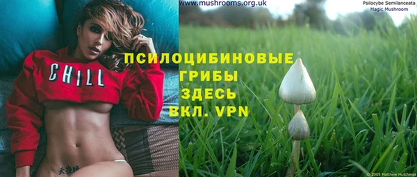 spice Балахна