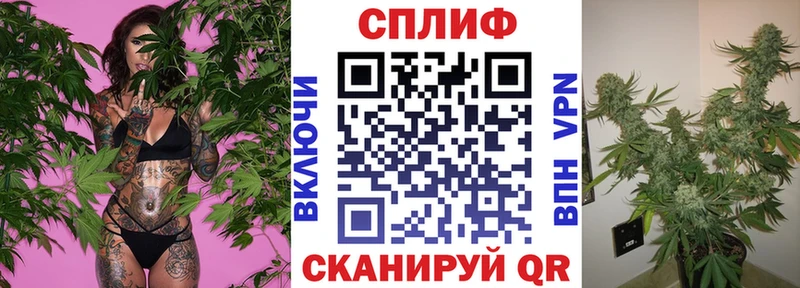 Бошки Шишки гибрид Купить где Михайловск